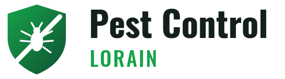 Lorain Pest Control